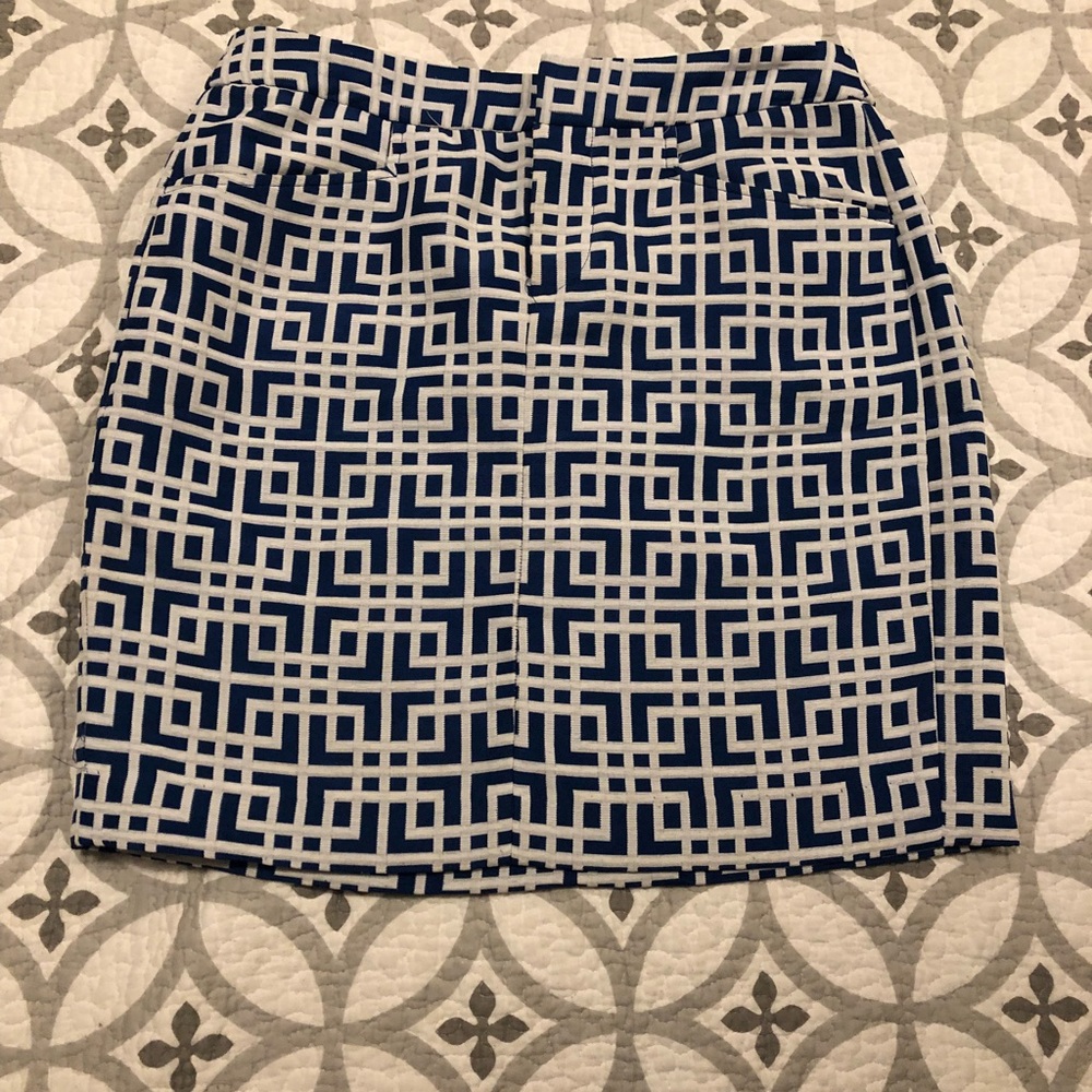 Beautiful blue Loft skirt!